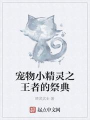 宠物小精灵之特别篇