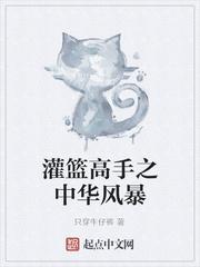 灌篮高手之中华风暴