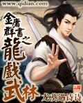 金庸群书之龙戏武林