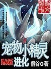宠物小精灵mage进化