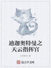 迪迦奥特曼之天云指挥官