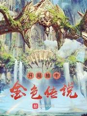 诸天领主:开局抽中金色传说 诸天领主:开局抽中金色传说