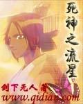 死神之流星